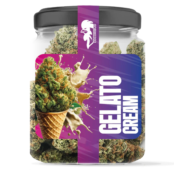 Gelato Cream