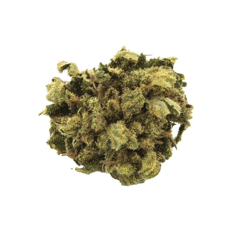 Alien Skunk small bud