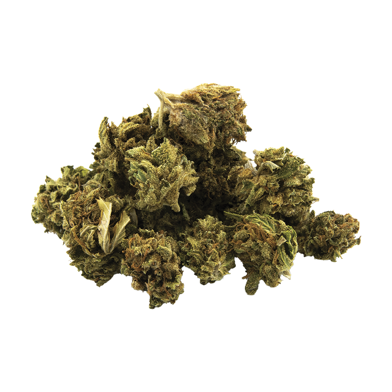 Alien Skunk small bud