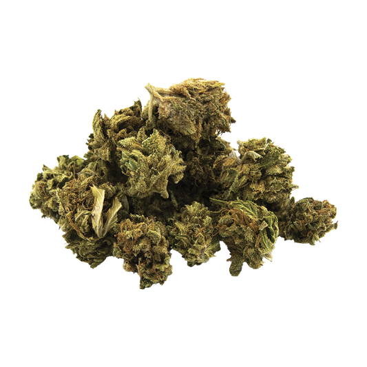 Alien Skunk small bud