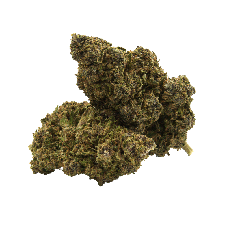 Tropical Punch