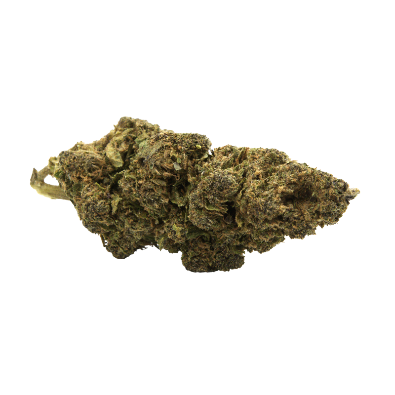 Tropical Punch