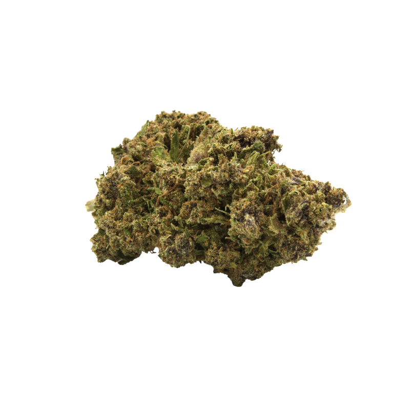 Tropical Punch