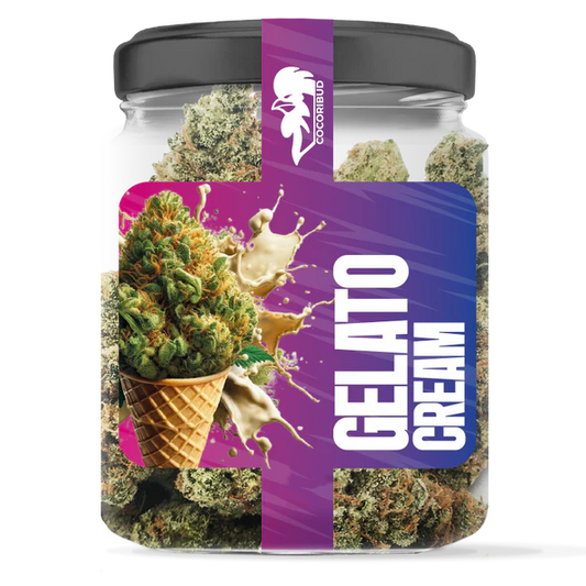 Gelato Cream