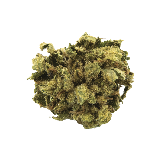Alien Skunk small bud