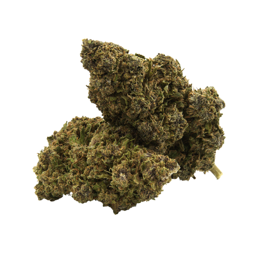 Tropical Punch
