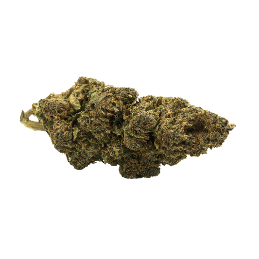 Tropical Punch
