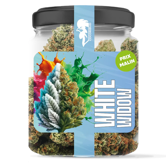White Widow